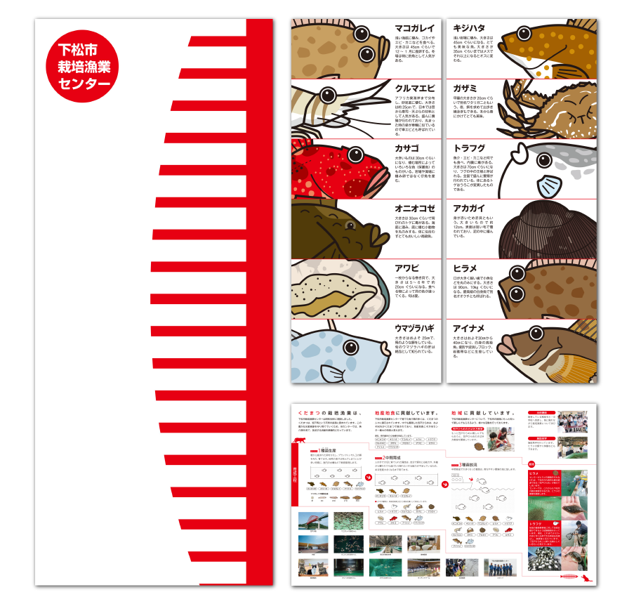 下松市栽培漁業センターパンフレット