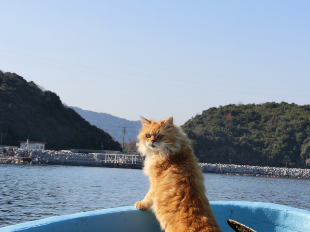 下松市栽培漁業センターの動物職員