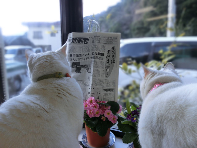 下松市栽培漁業センターの動物職員